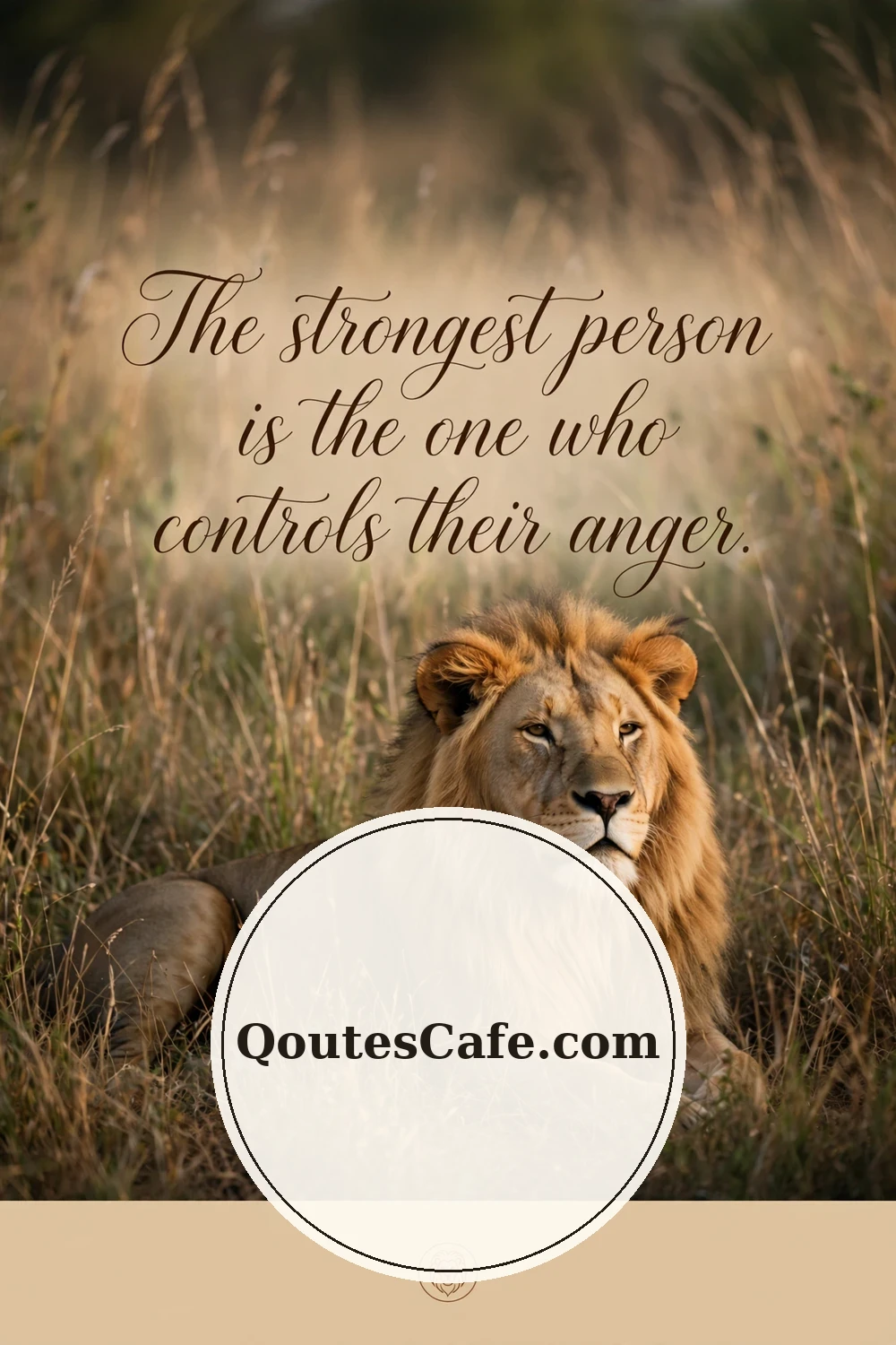 Calm Down – strongest controls anger
