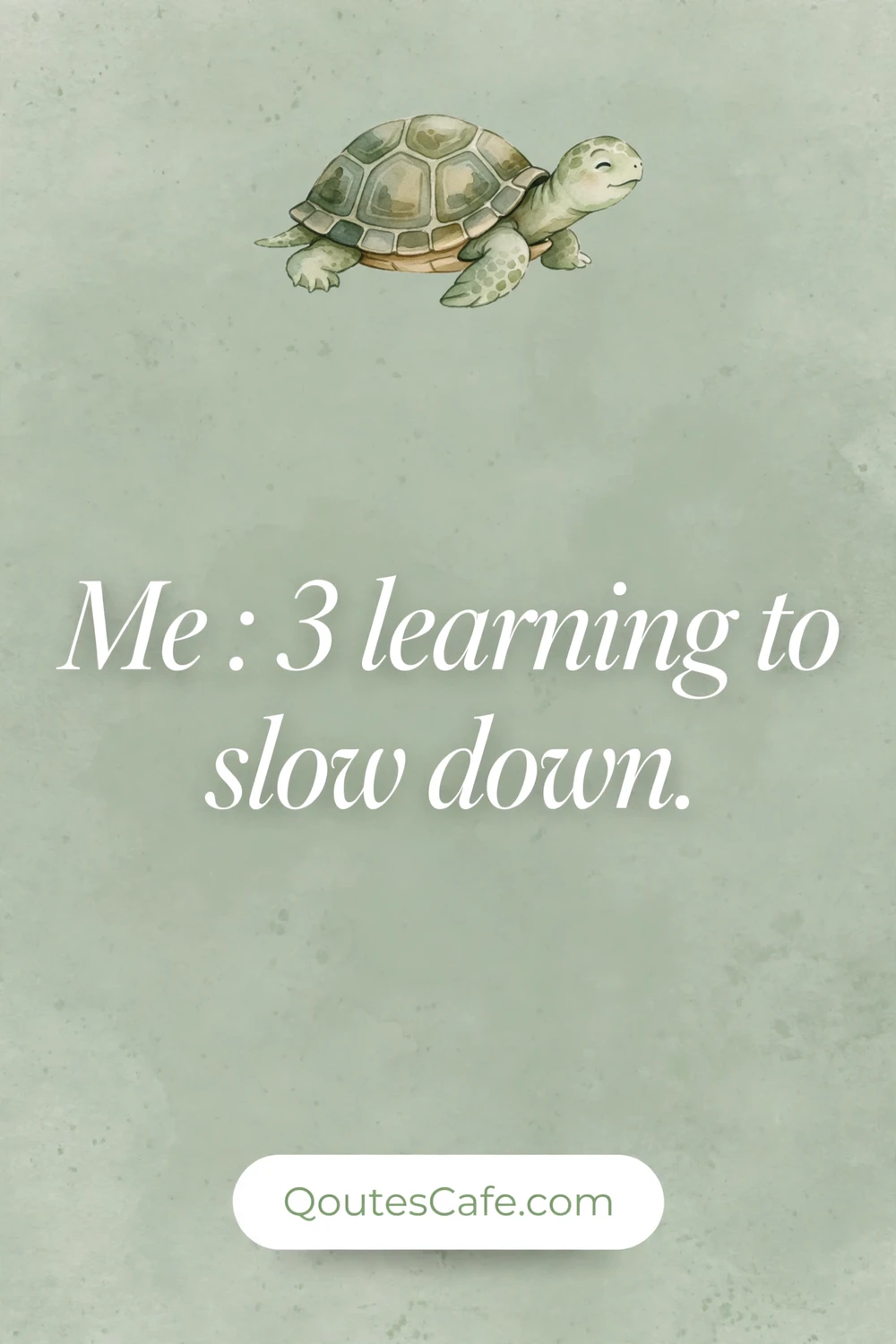 Me 3 Quotes - learning slow down